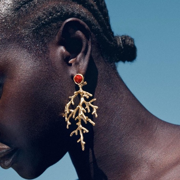 Zara Jewelry - Zara Coral Stone Earrings